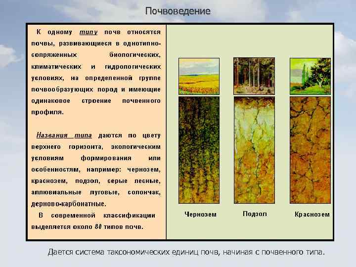 Почвоведение Дается система таксономических единиц почв, начиная с почвенного типа. 