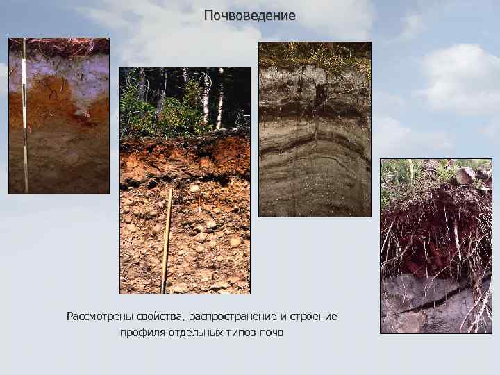 Почвоведение Рассмотрены свойства, распространение и строение профиля отдельных типов почв 