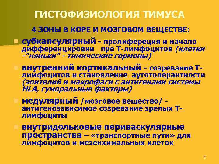 ГИСТОФИЗИОЛОГИЯ ТИМУСА 4 ЗОНЫ В КОРЕ И МОЗГОВОМ ВЕЩЕСТВЕ: n субкапсулярный - пролифереция и