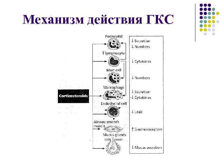 Гкс схема действия