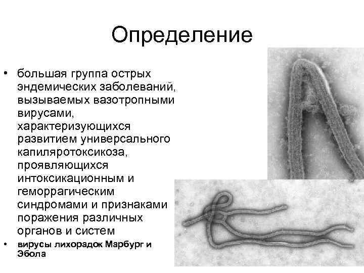 Определение • большая группа острых эндемических заболеваний, вызываемых вазотропными вирусами, характеризующихся развитием универсального капиляротоксикоза,