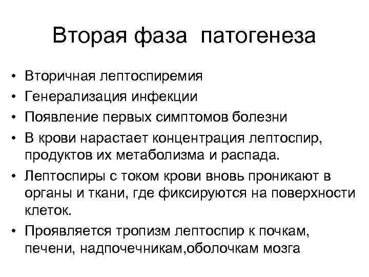 Вторая фаза патогенеза • • Вторичная лептоспиремия Генерализация инфекции Появление первых симптомов болезни В