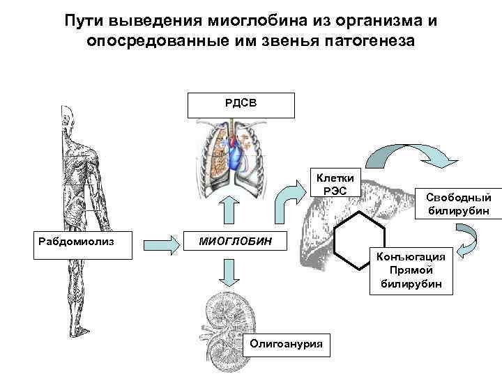 Опишите путь