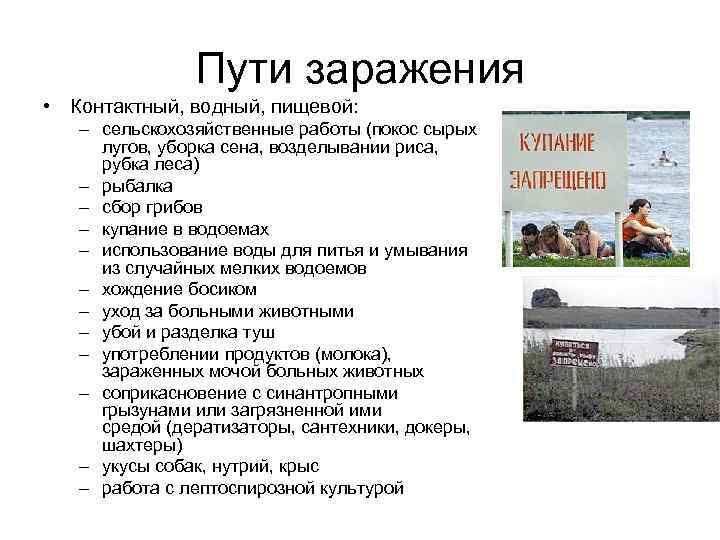 Пути заражения • Контактный, водный, пищевой: – сельскохозяйственные работы (покос сырых лугов, уборка сена,