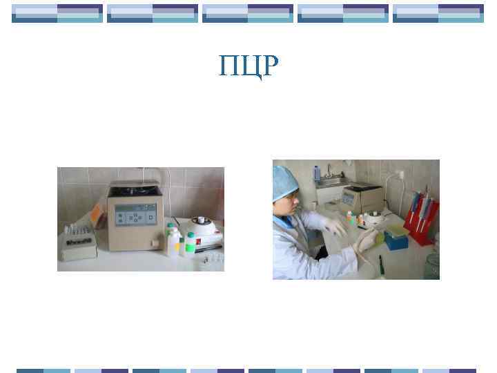 ПЦР 