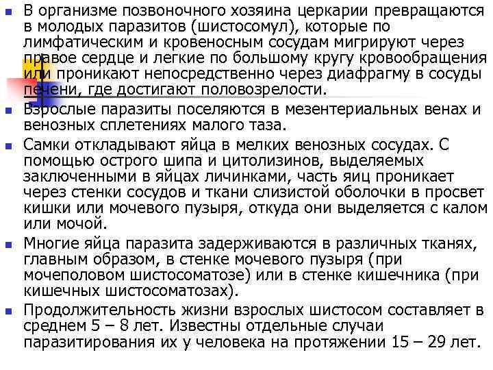 n n n В организме позвоночного хозяина церкарии превращаются в молодых паразитов (шистосомул), которые
