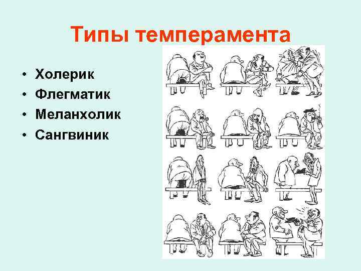 Типы темперамента • • Холерик Флегматик Меланхолик Сангвиник 