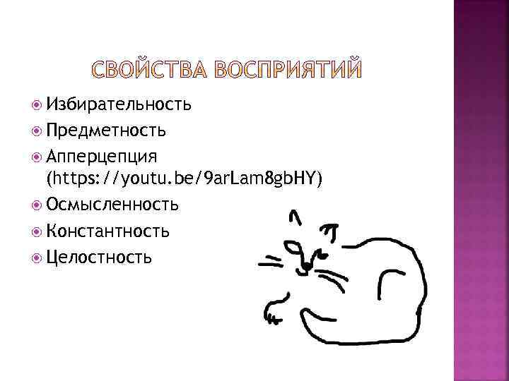  Избирательность Предметность Апперцепция (https: //youtu. be/9 ar. Lam 8 gb. HY) Осмысленность Константность