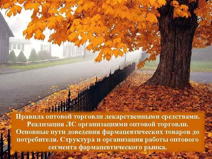 Правила оптовой торговли лекарственными средствами. Реализация ЛС организациями оптовой торговли. Основные пути доведения фармацевтических