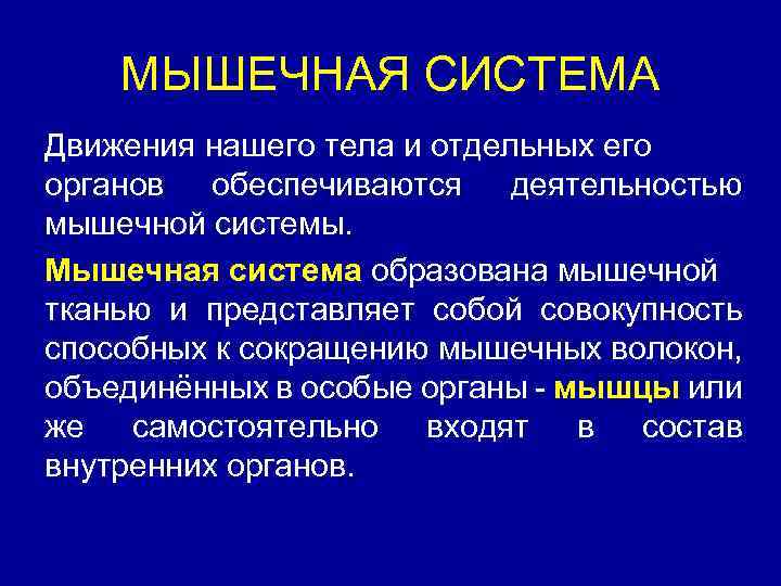 МЫШЕЧНАЯ СИСТЕМА Движения нашего тела и отдельных его органов обеспечиваются деятельностью мышечной системы. Мышечная