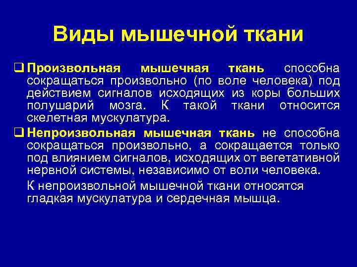 Виды мышечной ткани q Произвольная мышечная ткань способна сокращаться произвольно (по воле человека) под