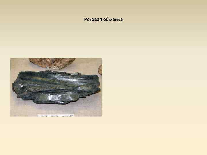 Роговая обманка 
