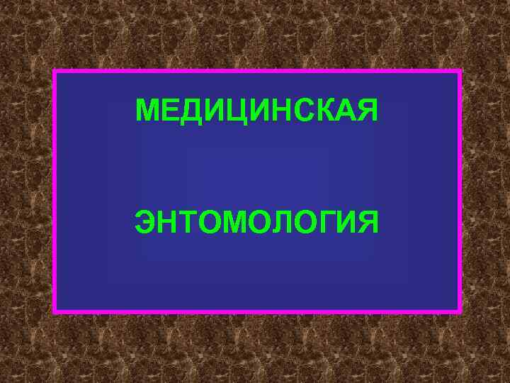 МЕДИЦИНСКАЯ ЭНТОМОЛОГИЯ 