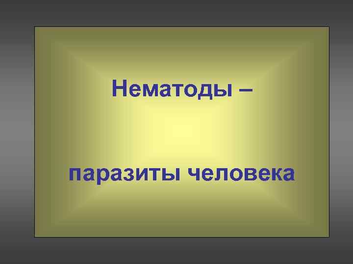 Нематоды – паразиты человека 