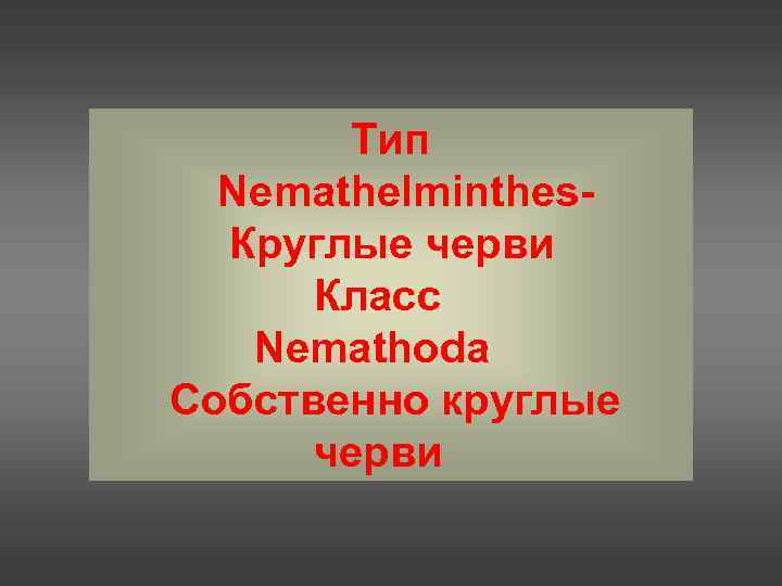 Тип Nemathelminthes. Круглые черви Класс Nemathoda Собственно круглые черви 