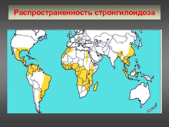 Распространенность стронгилоидоза 