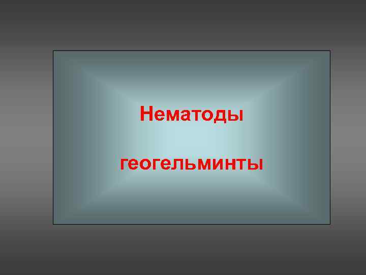 Нематоды геогельминты 