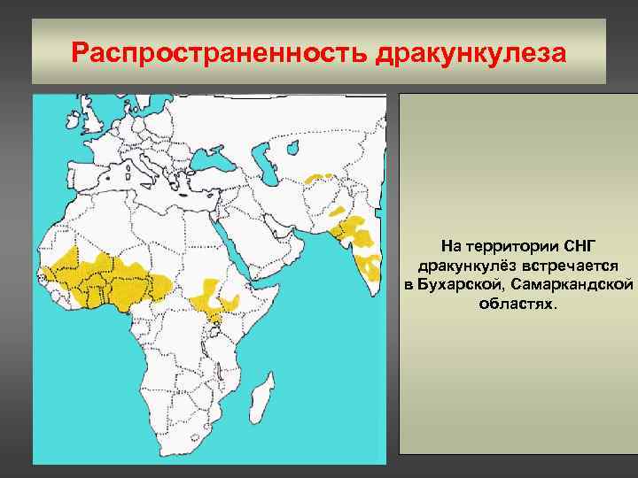 Распространенность дракункулеза На территории СНГ дракункулёз встречается в Бухарской, Самаркандской областях. 