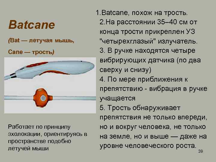  1. Batcane, похож на трость. 2. На расстоянии 35– 40 см от конца