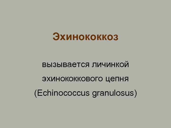 Эхинококкоз вызывается личинкой эхинококкового цепня (Echinococcus granulosus) 