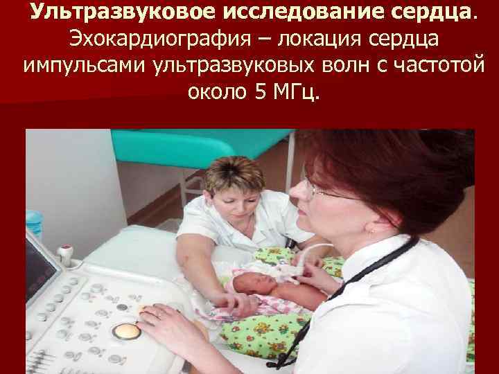 Ультразвуковое исследование сердца. Эхокардиография – локация сердца импульсами ультразвуковых волн с частотой около 5