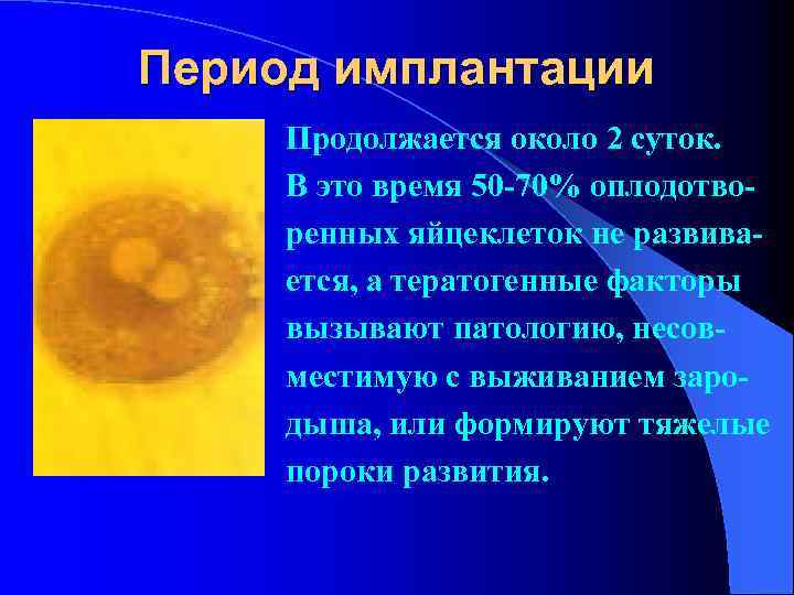 Период имплантации Продолжается около 2 суток. В это время 50 -70% оплодотво- ренных яйцеклеток