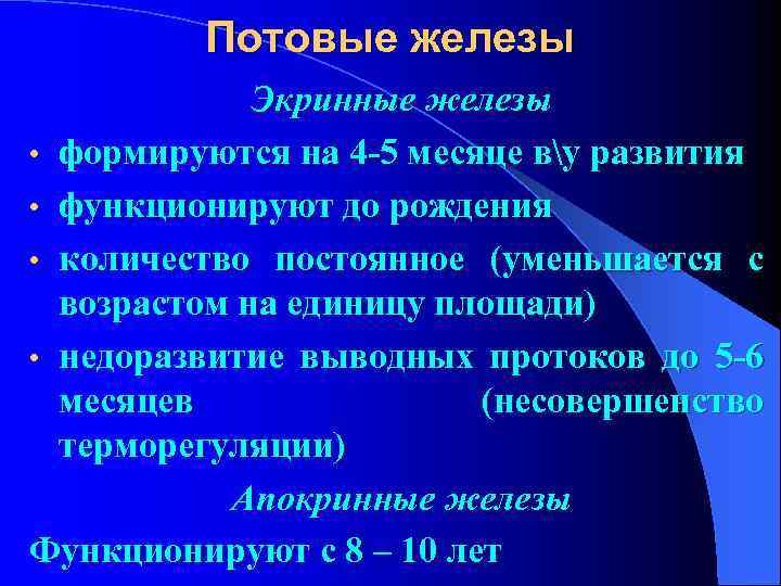  Потовые железы Экринные железы • формируются на 4 -5 месяце ву развития •