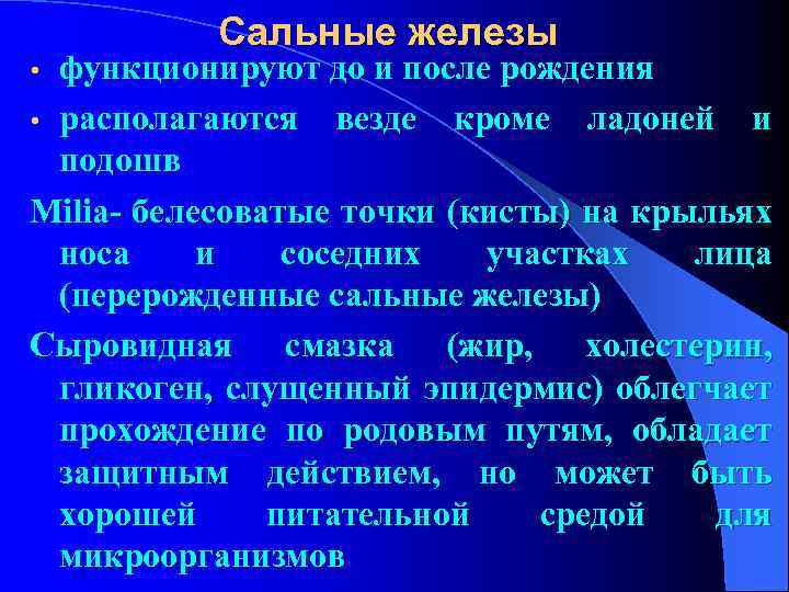  Сальные железы • функционируют до и после рождения • располагаются везде кроме ладоней