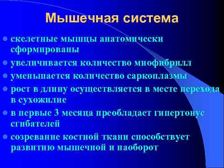  Мышечная система l скелетные мышцы анатомически сформированы l увеличивается количество миофибрилл l уменьшается