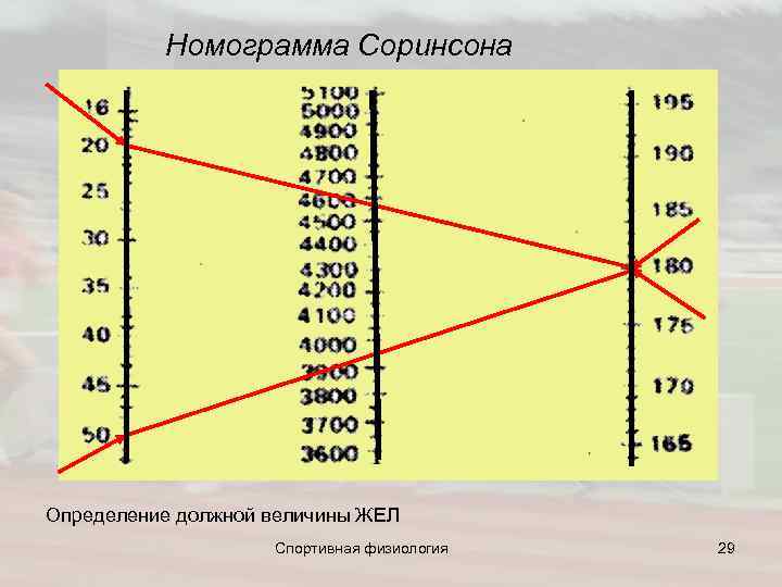  Номограмма Соринсона Определение должной величины ЖЕЛ Спортивная физиология 29 