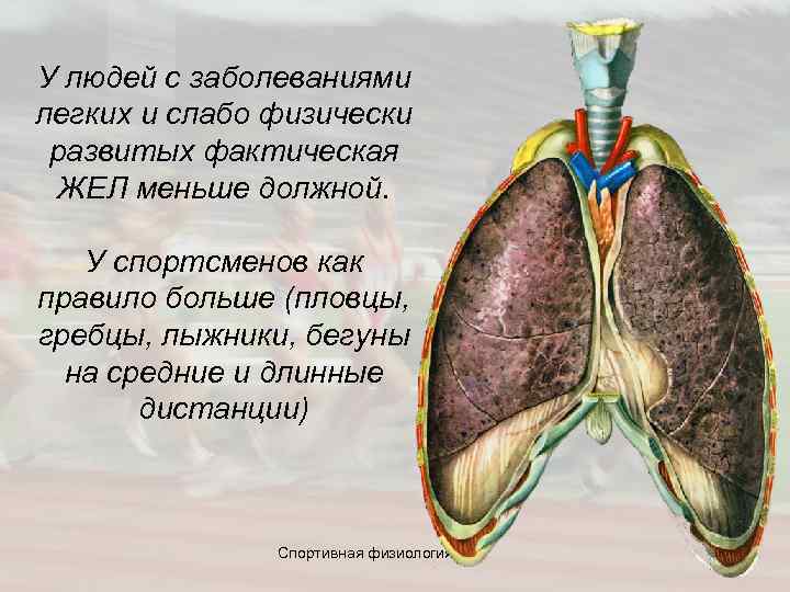 У людей с заболеваниями легких и слабо физически развитых фактическая ЖЕЛ меньше должной. У