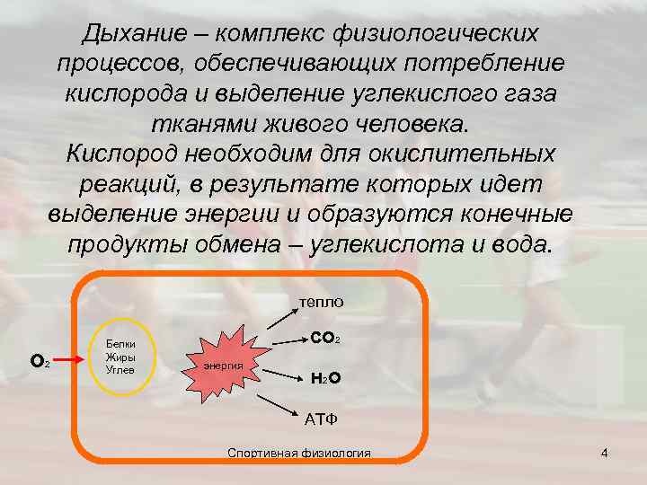  Дыхание – комплекс физиологических процессов, обеспечивающих потребление кислорода и выделение углекислого газа тканями