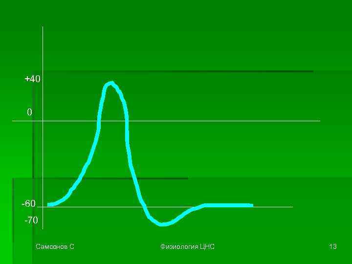 +40 0 -60 -70 Самсонов С Физиология ЦНС 13 