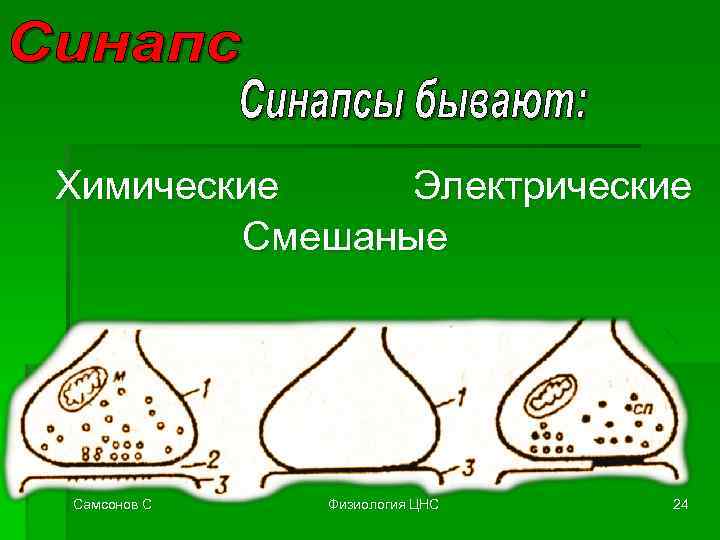 Химические Электрические Смешаные Самсонов С Физиология ЦНС 24 
