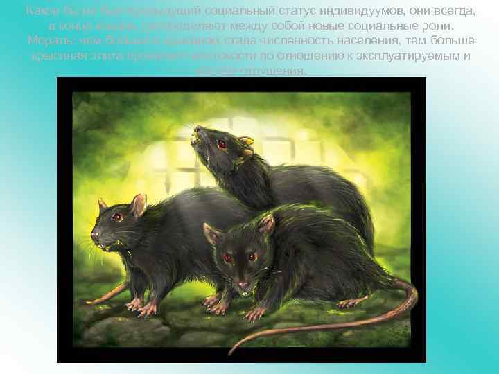 Каков бы ни был предыдущий социальный статус индивидуумов, они всегда, в конце концов, распределяют