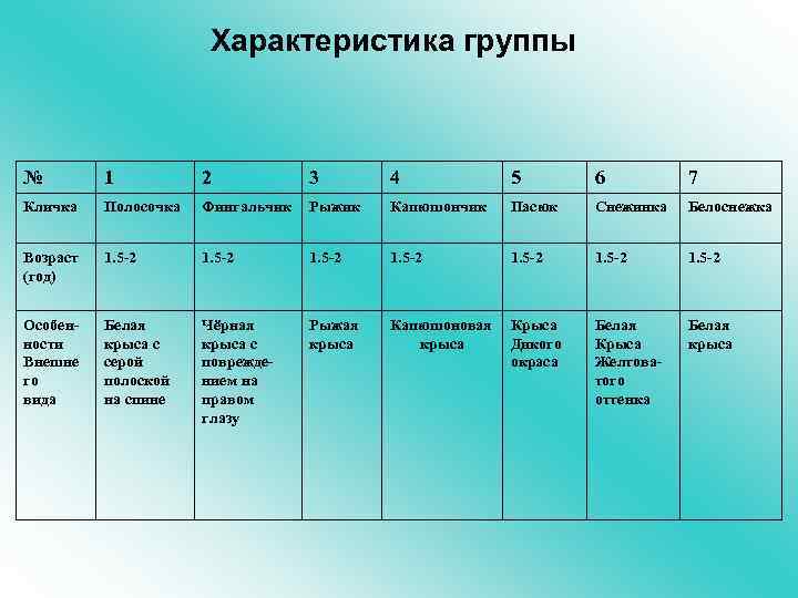 Характеристика группы № 1 2 3 4 5 6 7 Кличка Полосочка Фингальчик Рыжик
