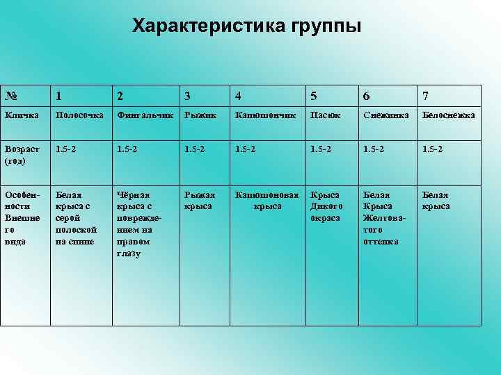 Характеристика группы № 1 2 3 4 5 6 7 Кличка Полосочка Фингальчик Рыжик