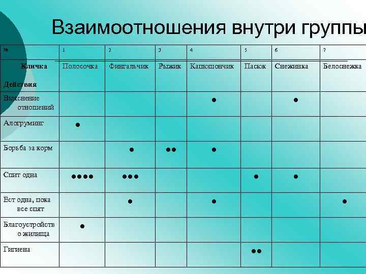 Взаимоотношения внутри группы № 1 Кличка 2 3 4 5 6 7 Полосочка Фингальчик