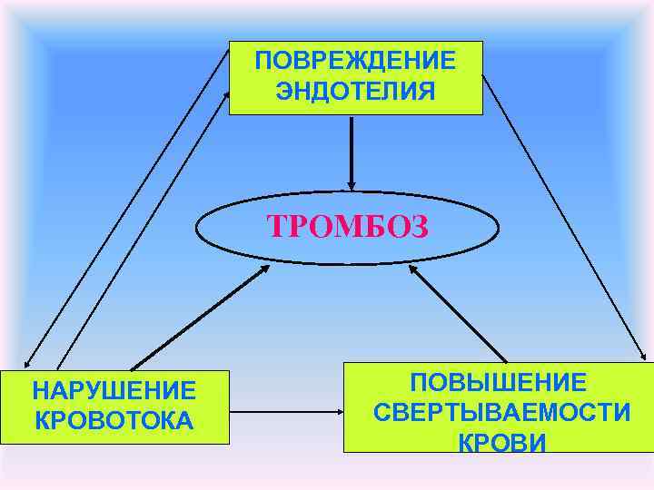 ПОВРЕЖДЕНИЕ ЭНДОТЕЛИЯ ТРОМБОЗ НАРУШЕНИЕ КРОВОТОКА ПОВЫШЕНИЕ СВЕРТЫВАЕМОСТИ КРОВИ 