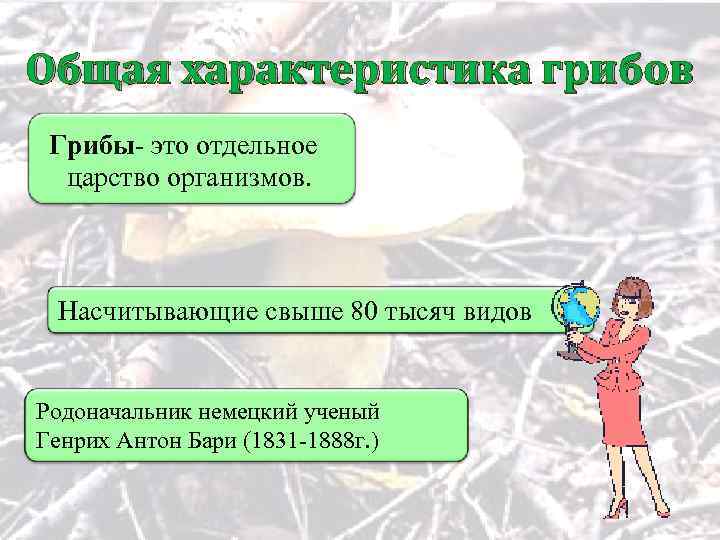 Общая характеристика грибов Грибы- это отдельное царство организмов. Насчитывающие свыше 80 тысяч видов Родоначальник