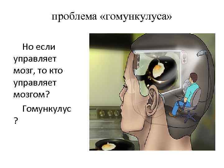 проблема «гомункулуса» Но если управляет мозг, то кто управляет мозгом? Гомункулус ? 
