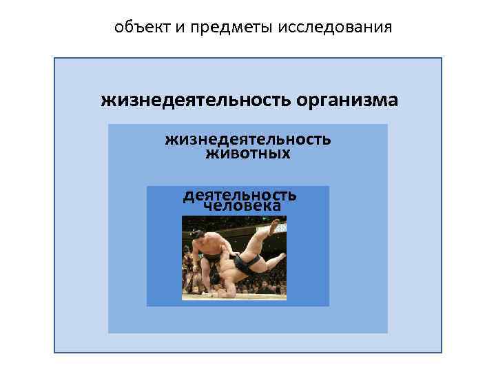 объект и предметы исследования жизнедеятельность организма жизнедеятельность животных деятельность человека 