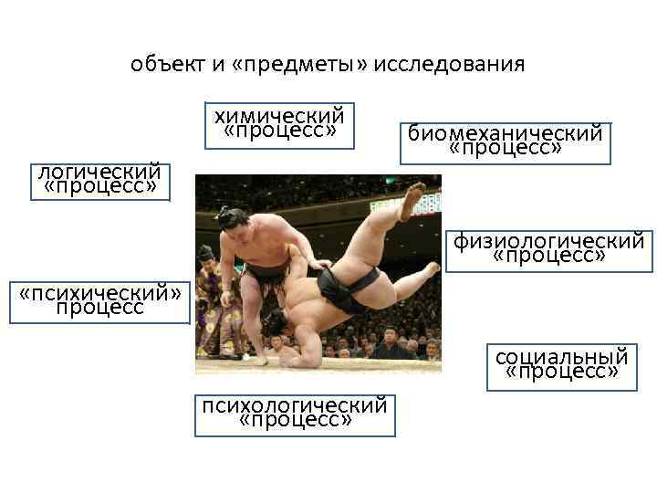 объект и «предметы» исследования химический «процесс» логический «процесс» биомеханический «процесс» физиологический «процесс» «психический» процесс