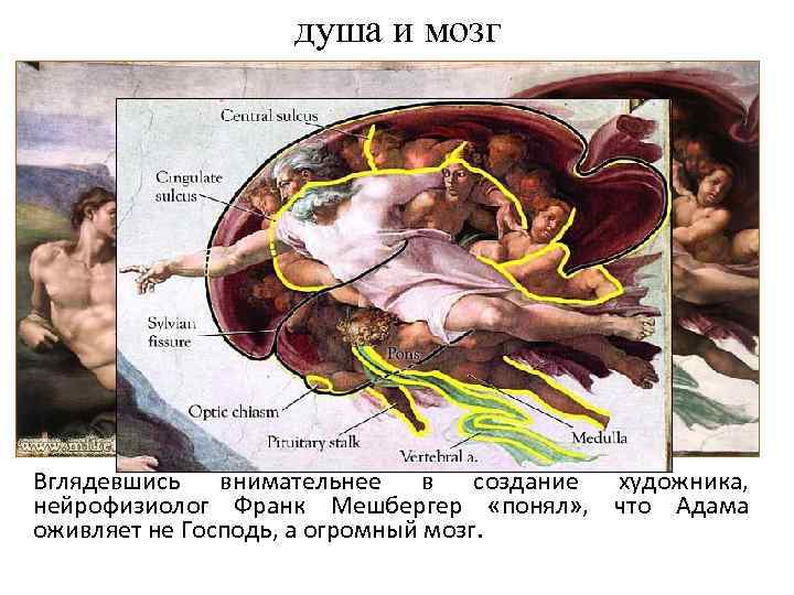 душа и мозг Вглядевшись внимательнее в создание художника, нейрофизиолог Франк Мешбергер «понял» , что