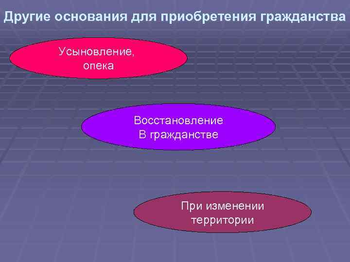 Другие основания для приобретения гражданства Усыновление, опека Восстановление В гражданстве При изменении территории 