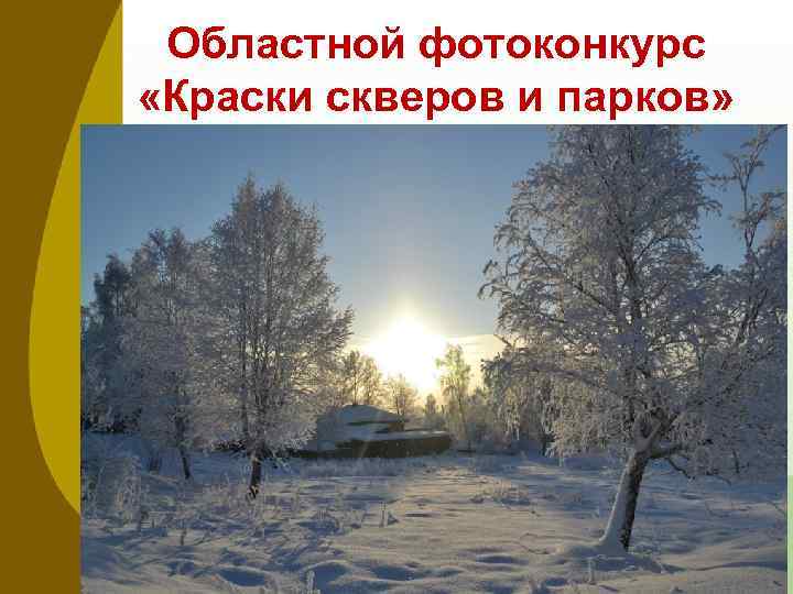 Областной фотоконкурс «Краски скверов и парков» • Петров Рома- I место • Шайхайдаров Рустам-