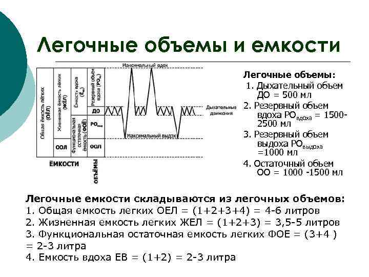  Легочные объемы и емкости Легочные объемы: 1. Дыхательный объем ДО = 500 мл