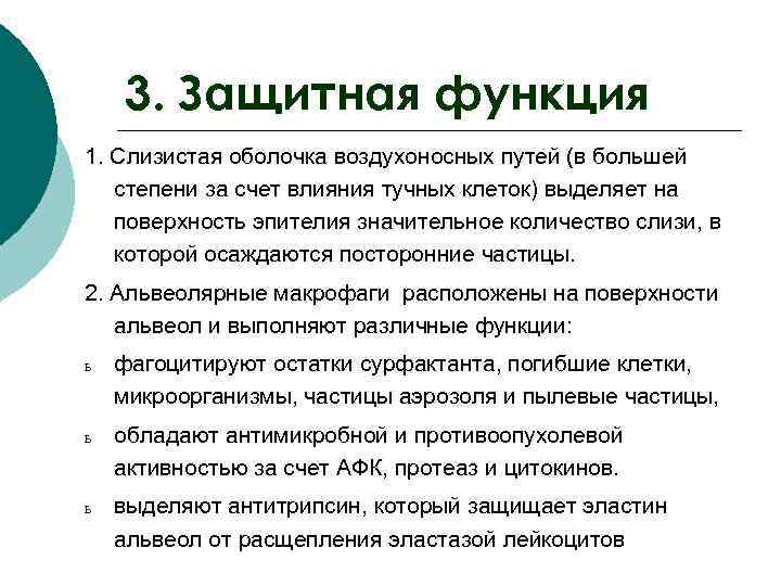  3. Защитная функция 1. Слизистая оболочка воздухоносных путей (в большей степени за счет