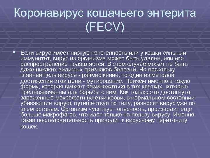 Коронавирус кошачьего энтерита (FECV) § Если вирус имеет низкую патогенность или у кошки сильный