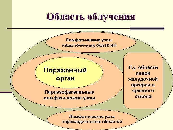 Область облучения Лимфатические узлы надключичных областей Пораженный орган Параэзофагеальные лимфатические узлы Лимфатические узла паракардиальных